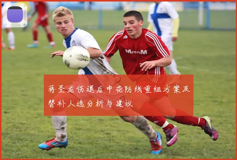蒋圣龙伤退后申花防线重组方案及替补人选分析与建议