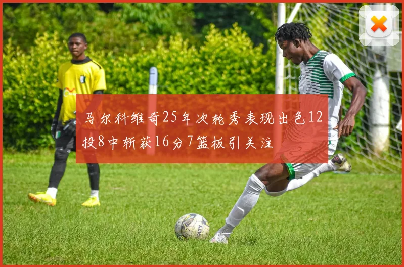 马尔科维奇25年次轮秀表现出色12投8中斩获16分7篮板引关注